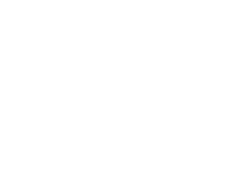 (C-MVI-180/30 N) Toroidal Multivalve 